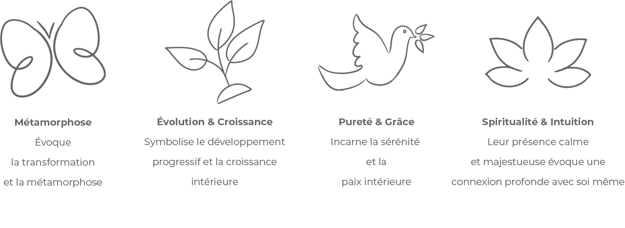 Fil sémantique qui explique le sens du logo réalisé dans le cadre de l'identité visuelle pour coach