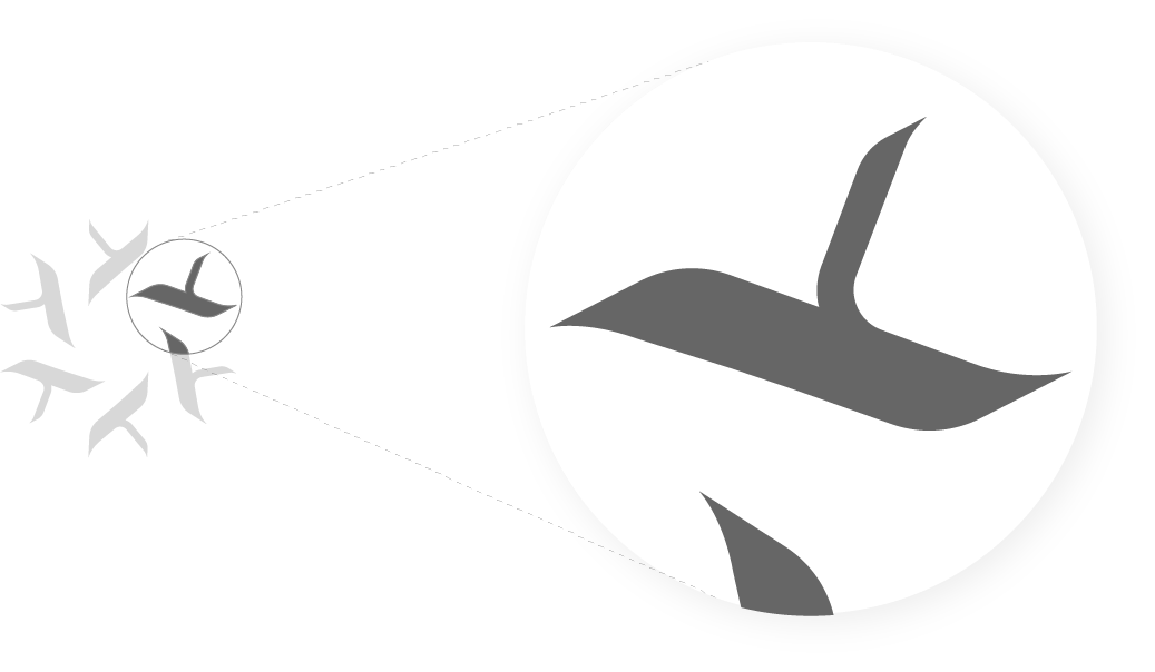 Zoom sur le logo Xplore dans le cadre de l'identité visuelle pour agence de voyages